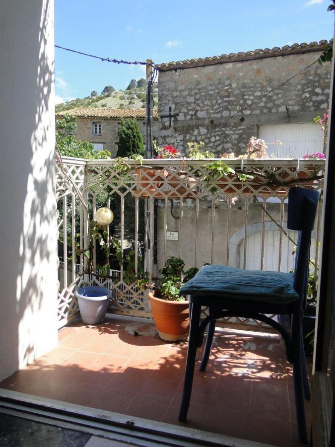 Le Grappillon Fitou Exterior foto