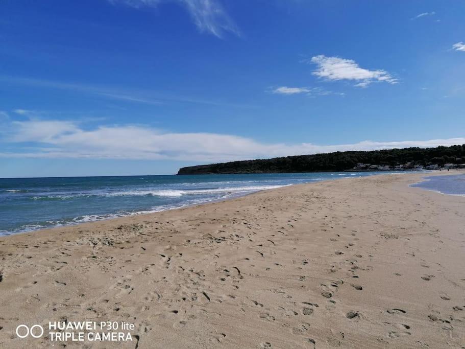 Le Grappillon Fitou Exterior foto